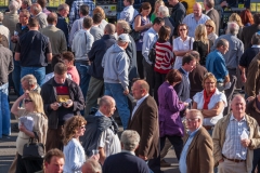Listowel Races