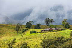 Lake Arenal house