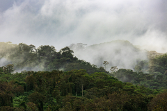 Lake Arenal landscape