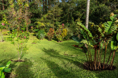 Arenal Observatory Lodge gardens