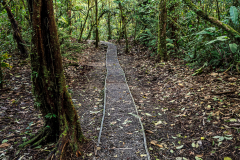 Path through the forest at Arenal Observatory Lodge