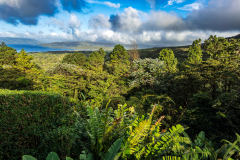 View from Arenal Observatory Lodge
