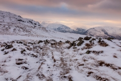 Near High Dodd