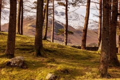 Great Langdale