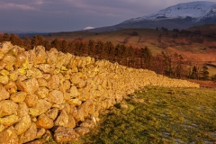 "Golden Hour" near Castlerigg Stone Circle