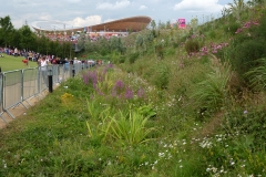 Velodrome