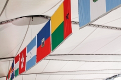 Paralympic Athletics