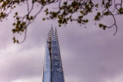 The Shard