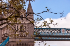 Tower Bridge