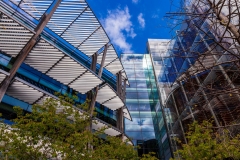 Hanseatic Walk building