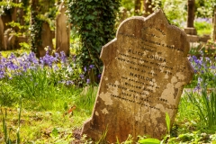 Highgate Cemetery