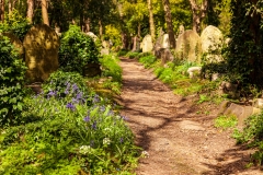Highgate Cemetery