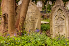 Highgate Cemetery