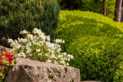 Kyoto Garden, Holland Park