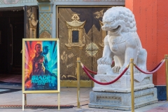 Chinese Theatre