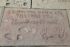 Chinese Theatre message