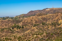 Hollywood Hills