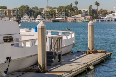 Marina del Rey