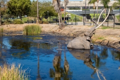 La Brea Tar Pits