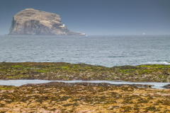 Bass Rock