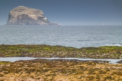 Bass Rock