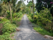 Vinh Long lane