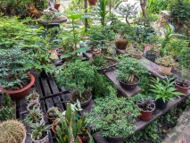 Rest area garden