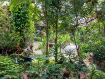 Rest area garden