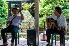 Mekong musician