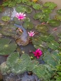 Rest area garden