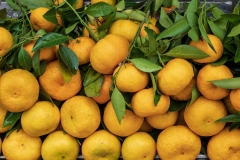 Tan An market