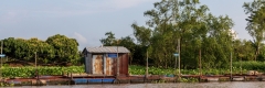Mekong River scene