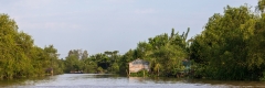 Mekong River scene