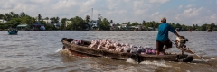 Cai Rang floating market