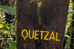 Quetzal sign