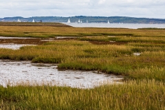 Pennington marshes