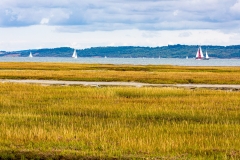The Solent