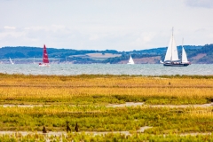 The Solent