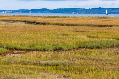 The Solent