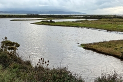 Keyhaven Marshes, Winter afternoon