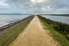 Winter afternoon at Keyhaven Marshes