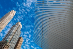 Oculus/World Trade Center Transportation Hub