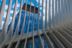 Oculus/World Trade Center Transportation Hub