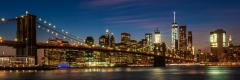 Brooklyn Bridge and the lower Manhattan skyline