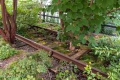 The High Line