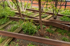 The High Line