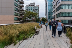 The High Line