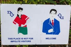 Bich Dong pagoda, Tam Coc