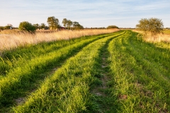 Weavers Way