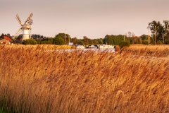 St. Benet's Level drainage mill